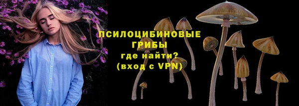 бошки Арсеньев